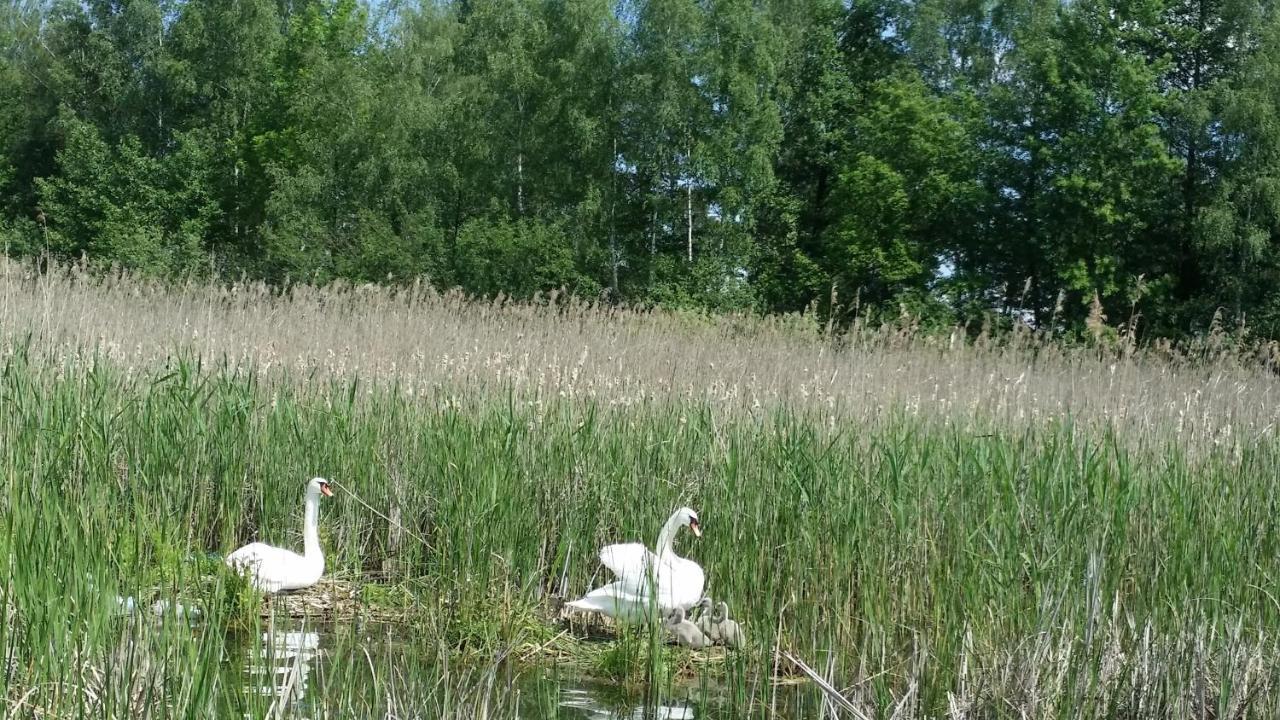 Domek Mazury - Jezioro Orzysz Luaran gambar